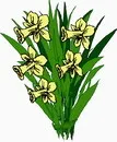 花朵鲜花_26eps,ai矢量模版下载