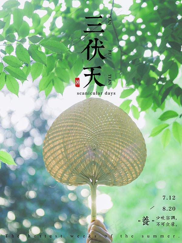 三伏天清新海报psd模版下载