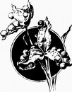 花朵鲜花_1110eps,ai矢量模版下载