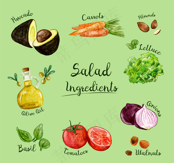 彩绘沙拉原料