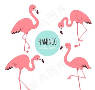 粉色闭眼火烈鸟