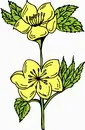 花朵鲜花_158eps,ai矢量模版下载