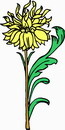 花朵鲜花_93eps,ai矢量模版下载
