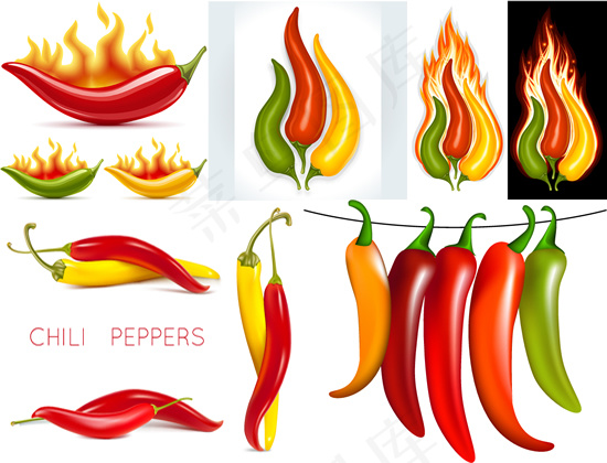 朝天椒火焰矢量eps,ai矢量模版下载