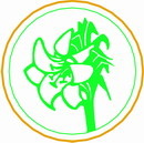 花朵鲜花_809eps,ai矢量模版下载