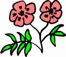 花朵鲜花_659eps,ai矢量模版下载