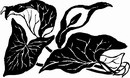 花朵鲜花_1148eps,ai矢量模版下载