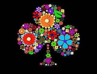 花卉组成的梅花图