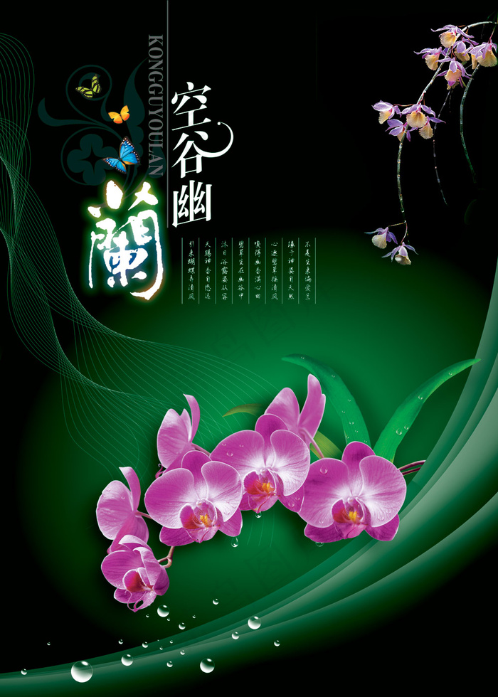 空谷幽兰(3543X4960(DPI:300))psd模版下载