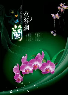 空谷幽兰 空谷幽兰