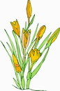 花朵鲜花_356eps,ai矢量模版下载