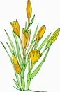 花朵鲜花_356eps,ai矢量模版下载