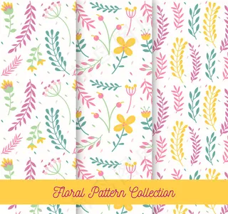 彩色花卉和树叶