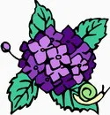 花朵鲜花_808eps,ai矢量模版下载