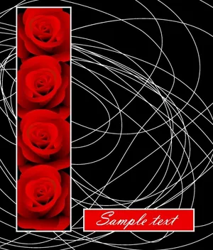 玫瑰与线条