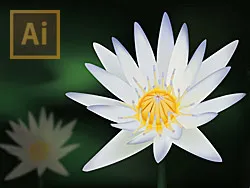 写实莲花矢量ai矢量模版下载