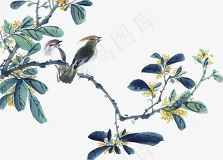 桂花树枝上的鸟