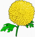 花朵鲜花_465eps,ai矢量模版下载