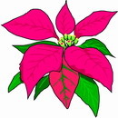 花朵鲜花_763eps,ai矢量模版下载