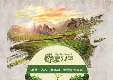 中国风茶叶海报 中国风茶叶海报