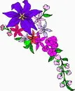 花朵鲜花_411eps,ai矢量模版下载