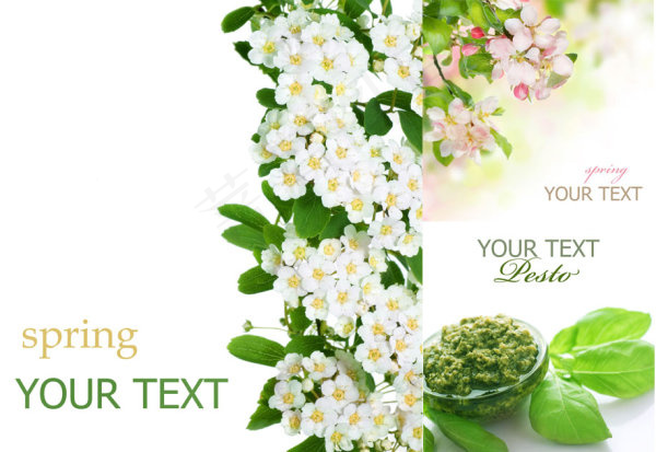 清新植物背景,免抠元素,背景元素