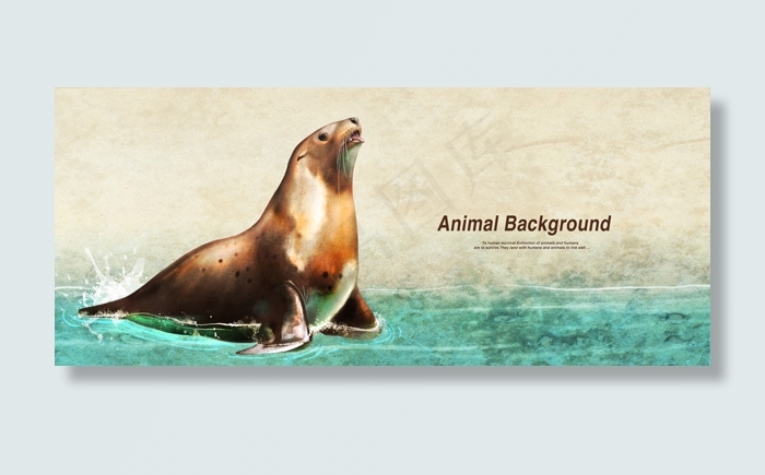 吼叫的海狮(8400X3564(DPI:300))psd模版下载