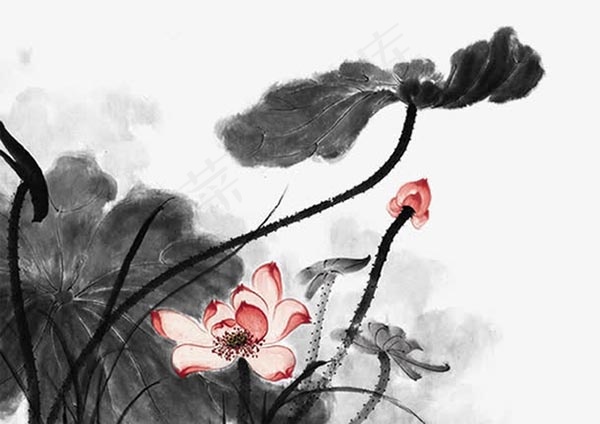 水墨莲花