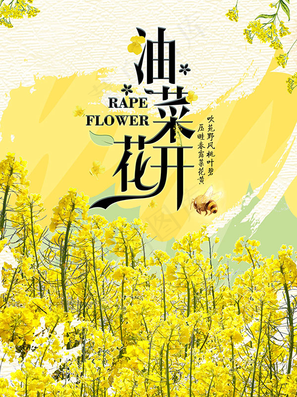 灿烂油菜花开(7087X9449(DPI:300))psd模版下载