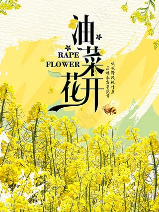 灿烂油菜花开