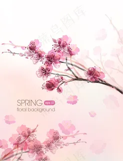 美丽的桃花 美丽的桃花