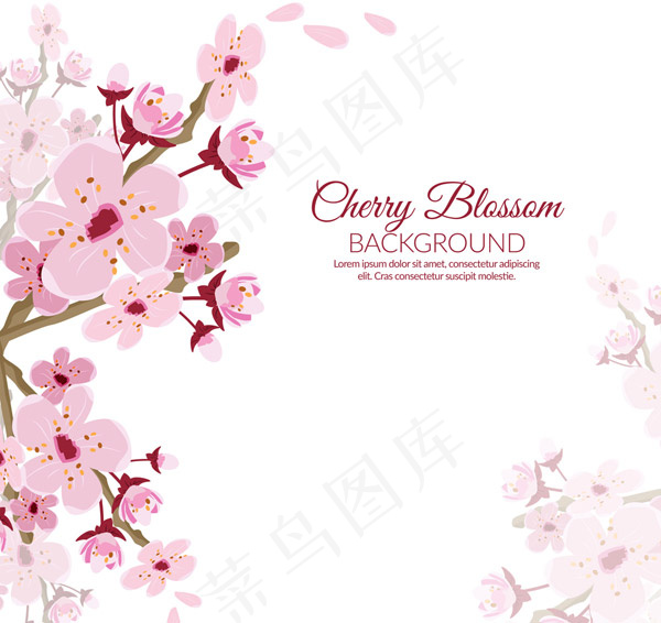 粉色樱花花枝