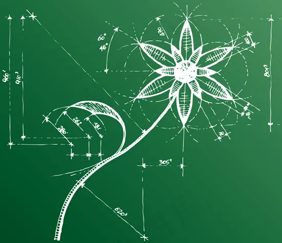 花朵描绘图eps,ai矢量模版下载
