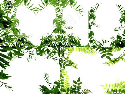 植物边框 植物边框