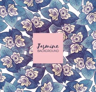 茉莉花无缝背景