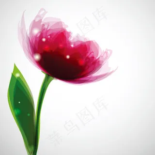 幻彩花朵矢量
