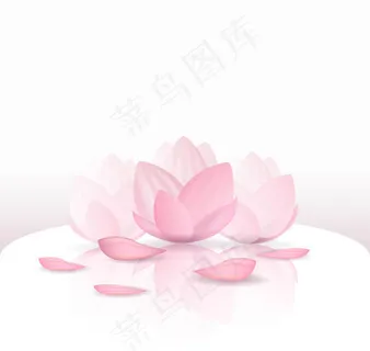 粉色荷花矢量 粉色荷花矢量