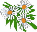 花朵鲜花_132eps,ai矢量模版下载