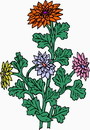 花朵鲜花_5eps,ai矢量模版下载