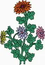 花朵鲜花_5eps,ai矢量模版下载