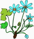 花朵鲜花_122eps,ai矢量模版下载