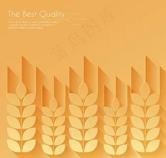 麦穗矢量