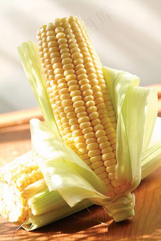 玉米
