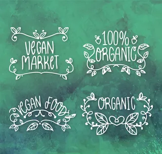 有机食品艺术字