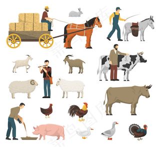 卡通农场动物