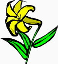 花朵鲜花_778eps,ai矢量模版下载