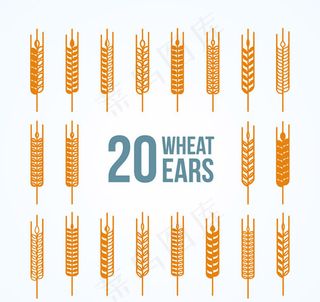 金色麦穗矢量