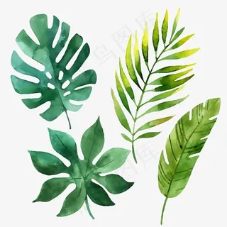 青春小清新植物