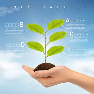 树苗商务信息图,背景元素