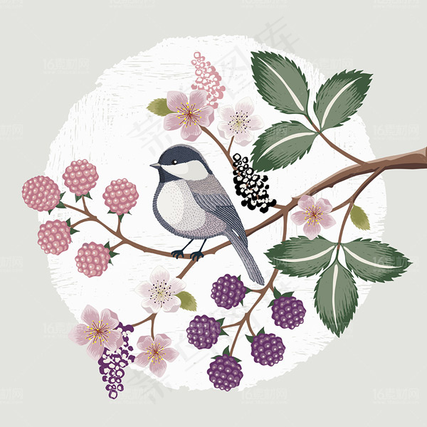 唯美手绘花鸟插画eps,ai矢量模版下载